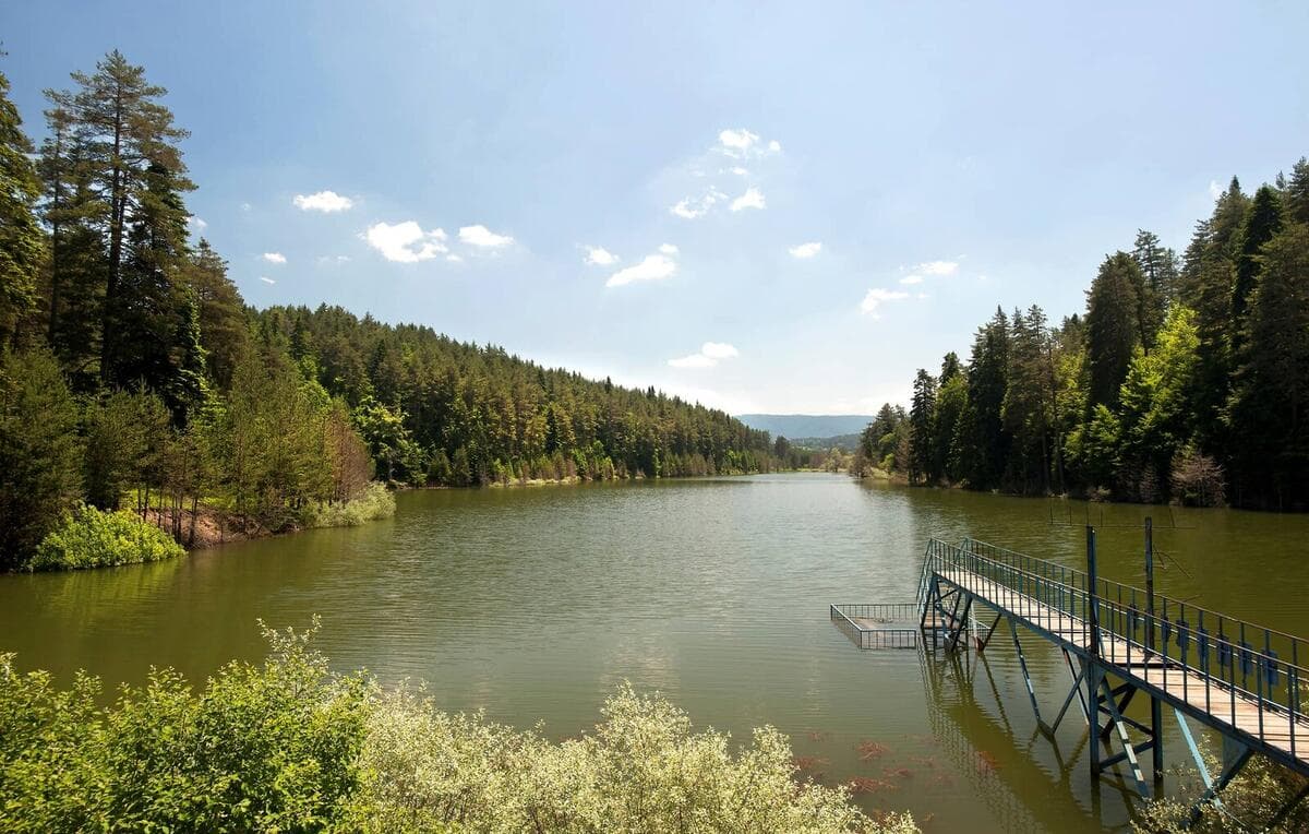 Bozcaarmut Pond