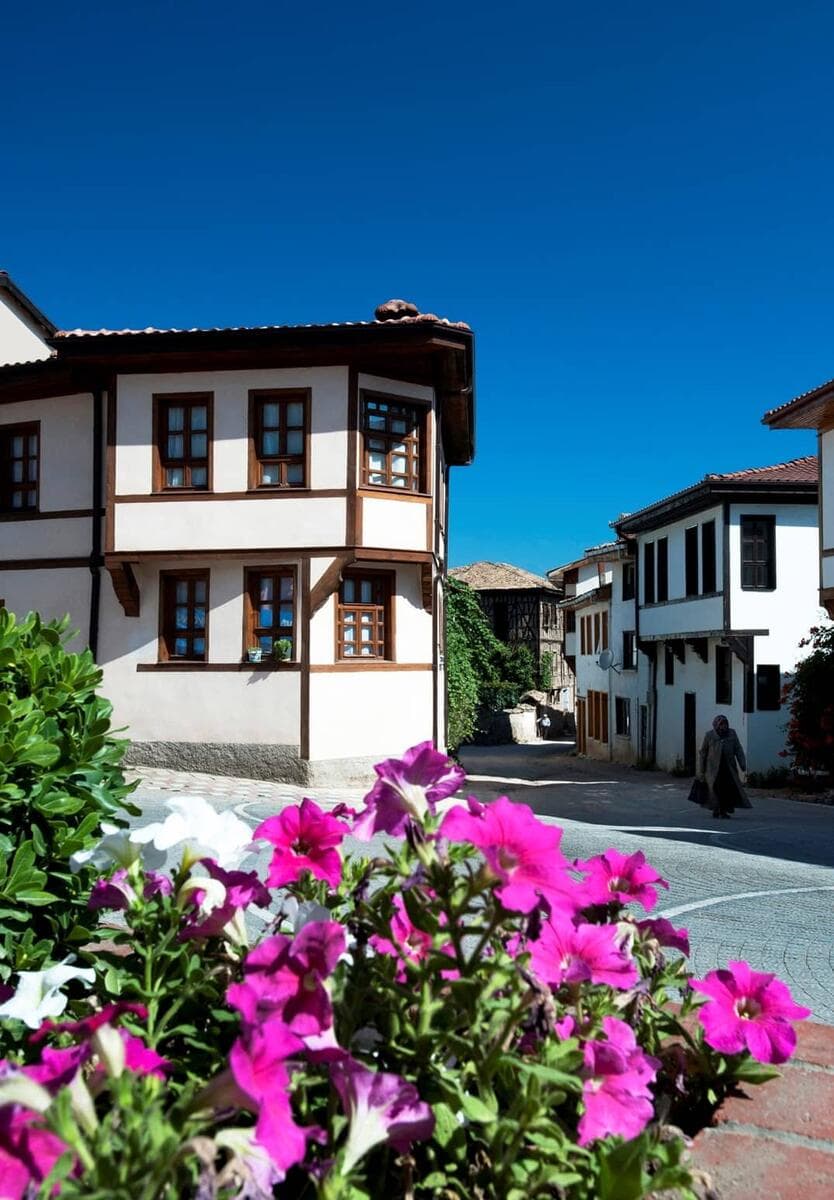 Osmaneli Historical Houses