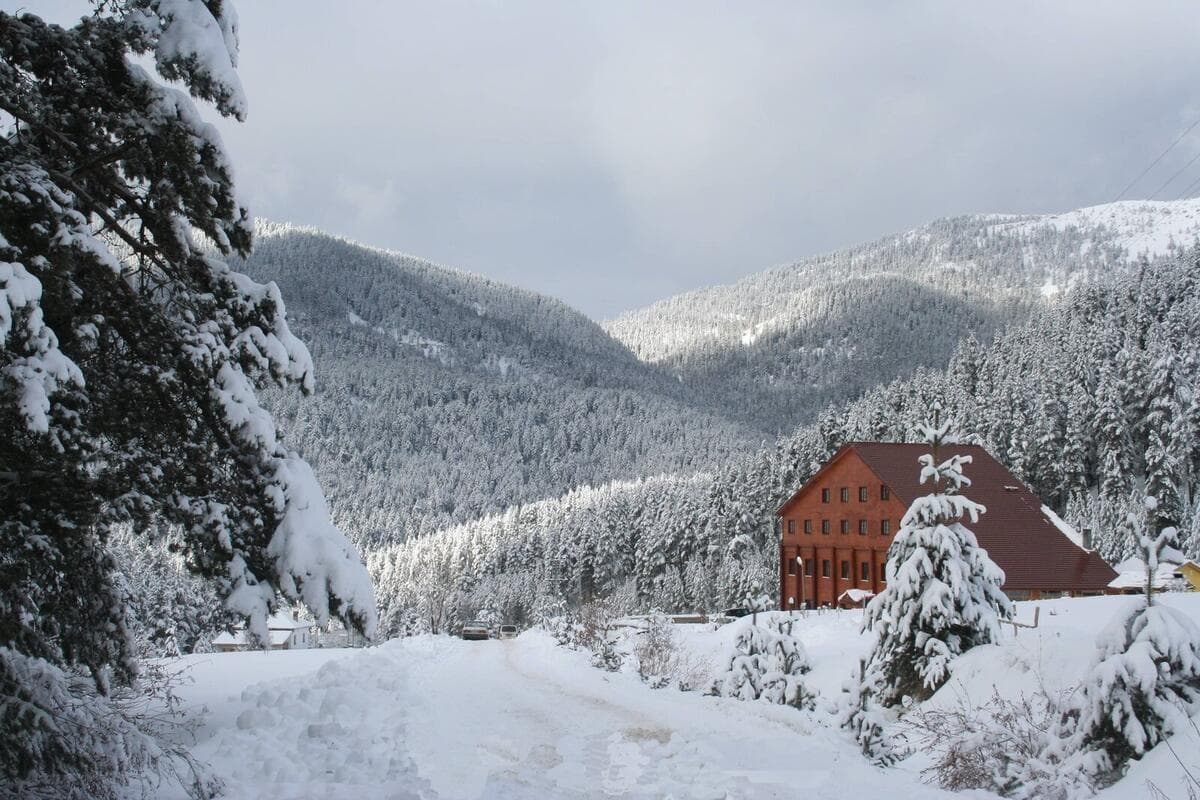 Ilgaz Mountain National Park & Ski Resort