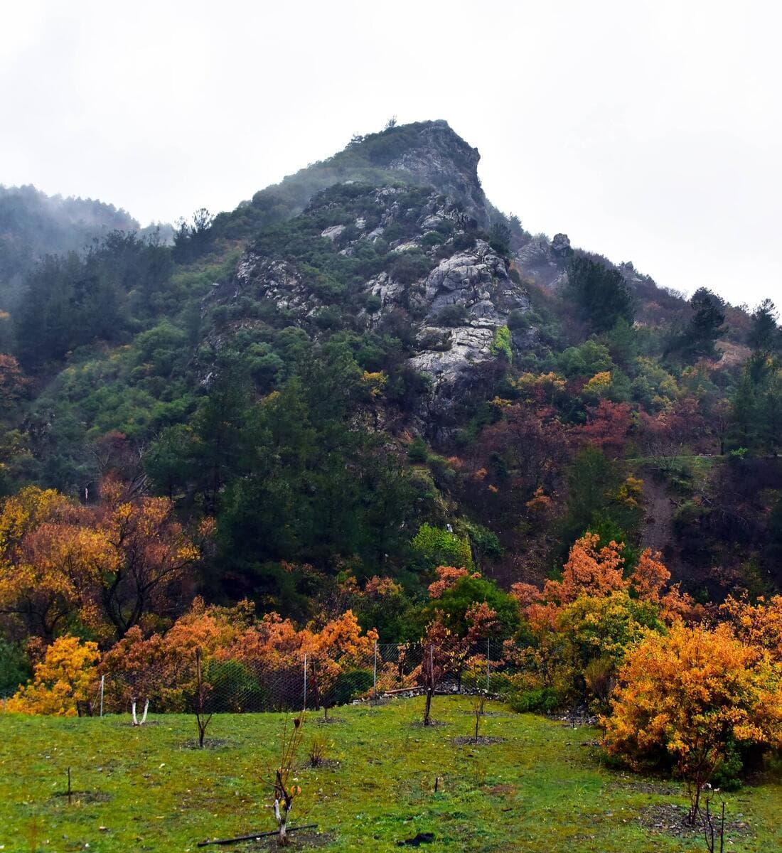 Spil Dağı Milli Parkı & Ağlayan Kaya (Mount Spil National Park)