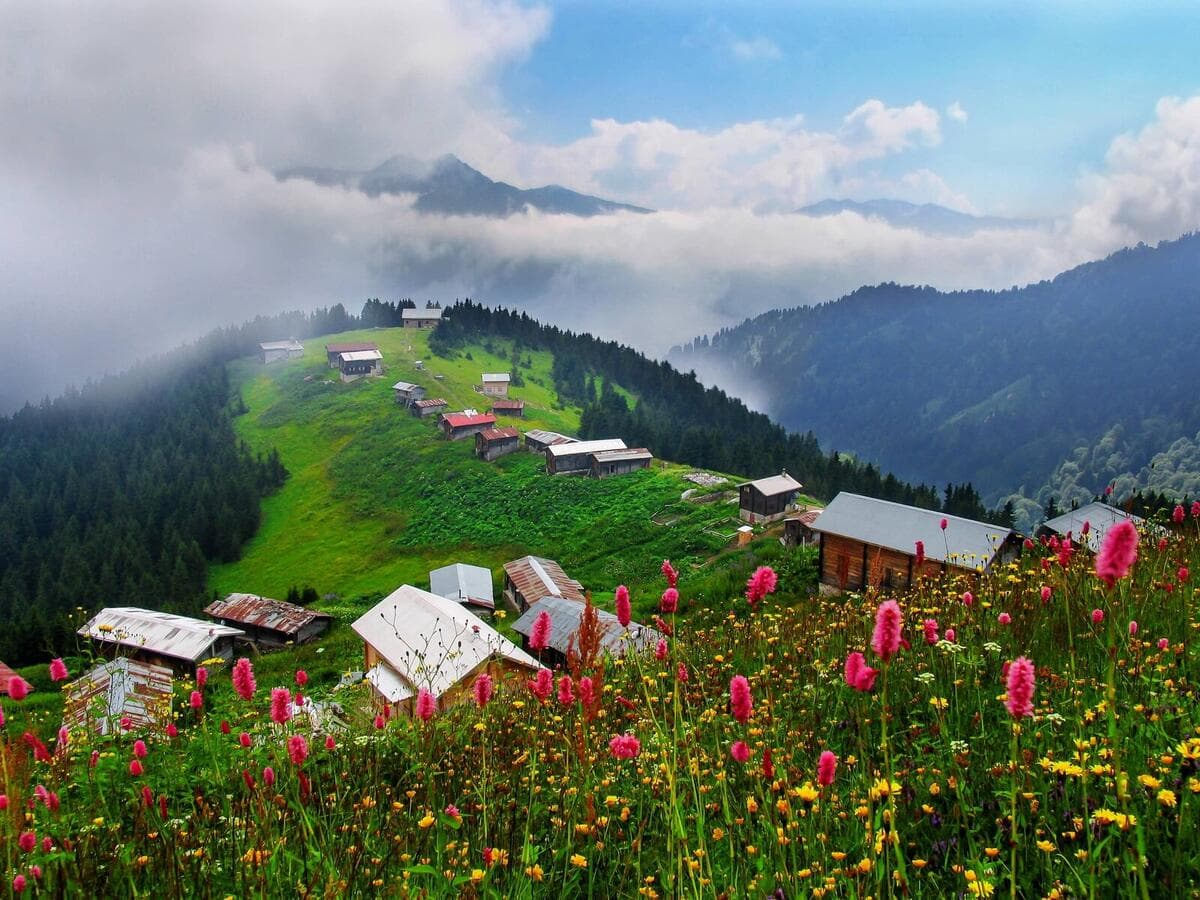 AllTurkiye